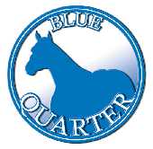 Blue Quarter
