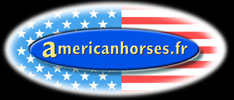 americanhorses
